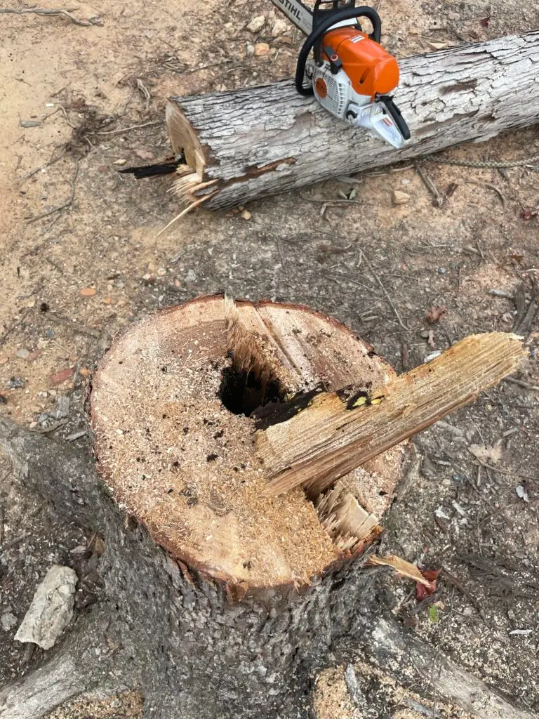 Stump grinder and saw ready for tree removal services in Monroe, NC