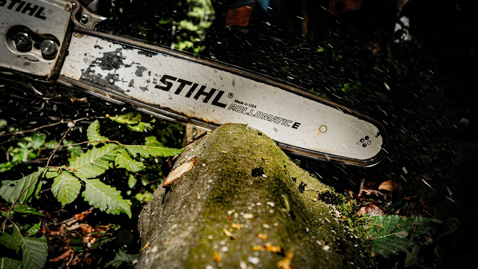 Powerful chainsaw slicing through a tree log in a dense forest in Hohenstein, Germany.
