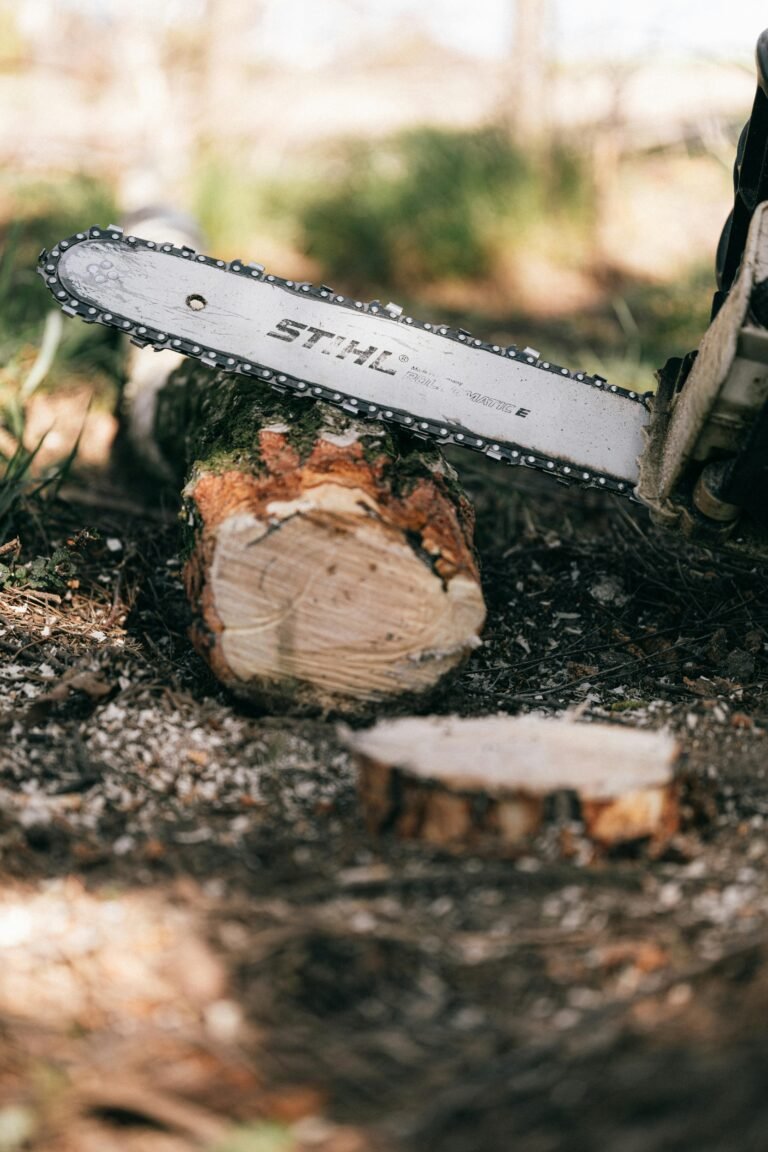 Close-up of a chainsaw cutting a tree log outdoors, highlighting wood texture.