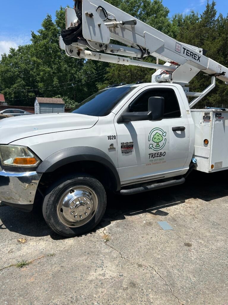 tree services monroe, nc