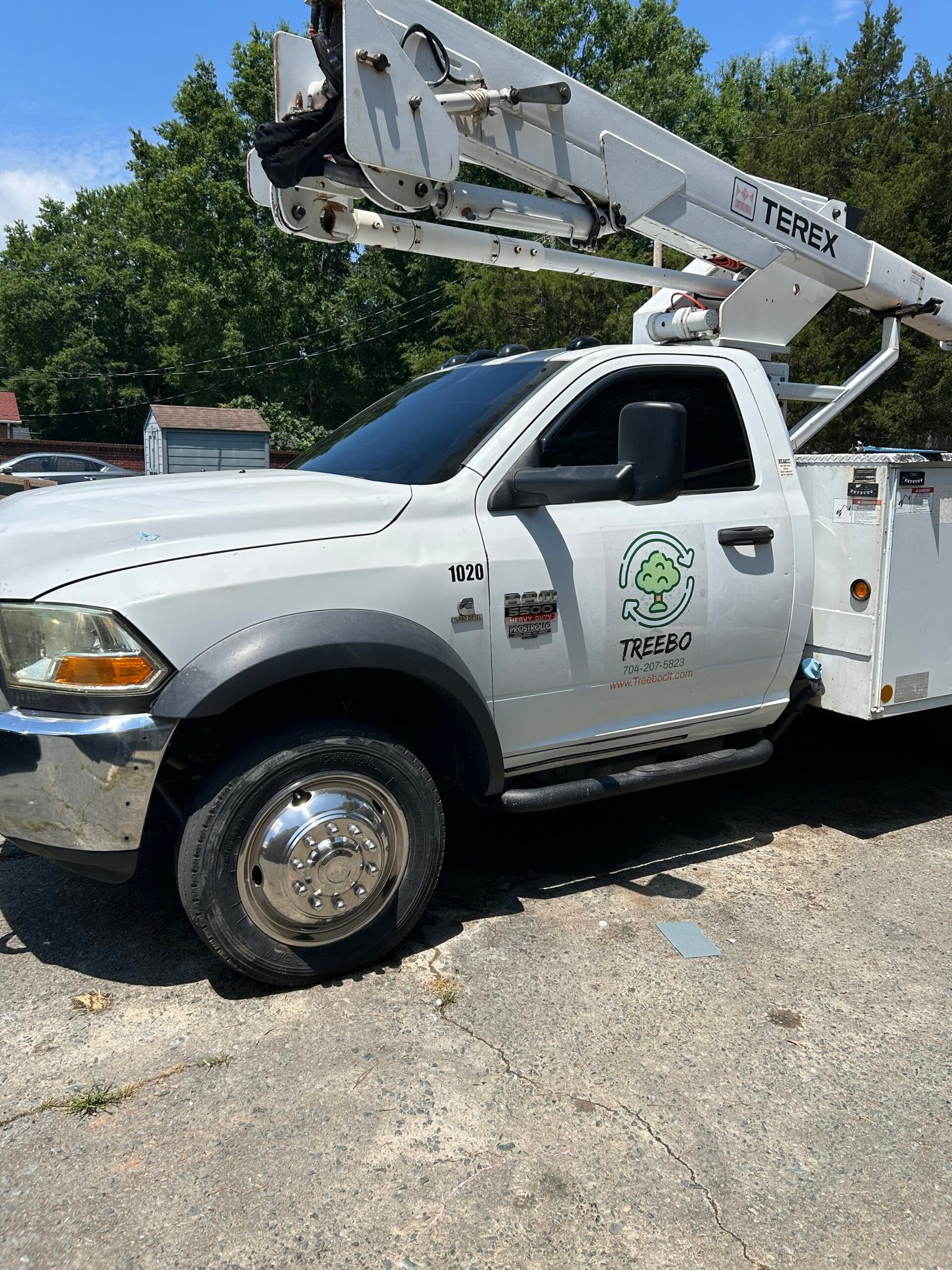 tree services monroe, nc