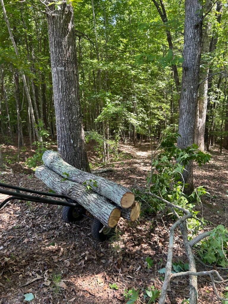 Large tree logs being removed from a backyard natural area during a tree removal project in Weddington NC by Treebo Tree Experts LLC.