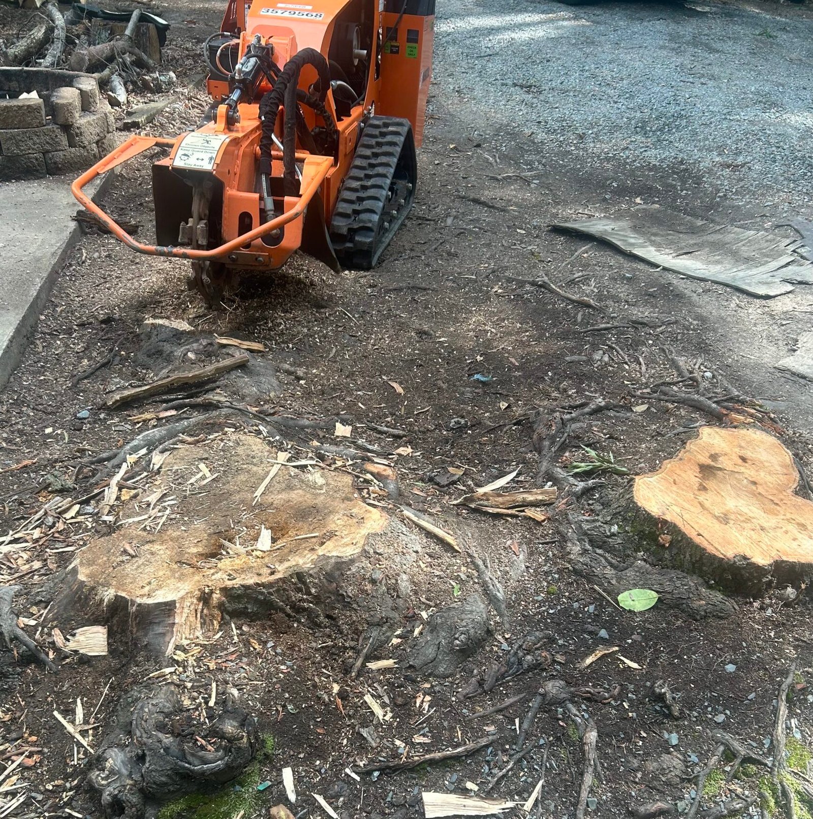 Completed stump removal service leaving a clean yard in Monroe, NC by Treebo Tree Experts LLC.